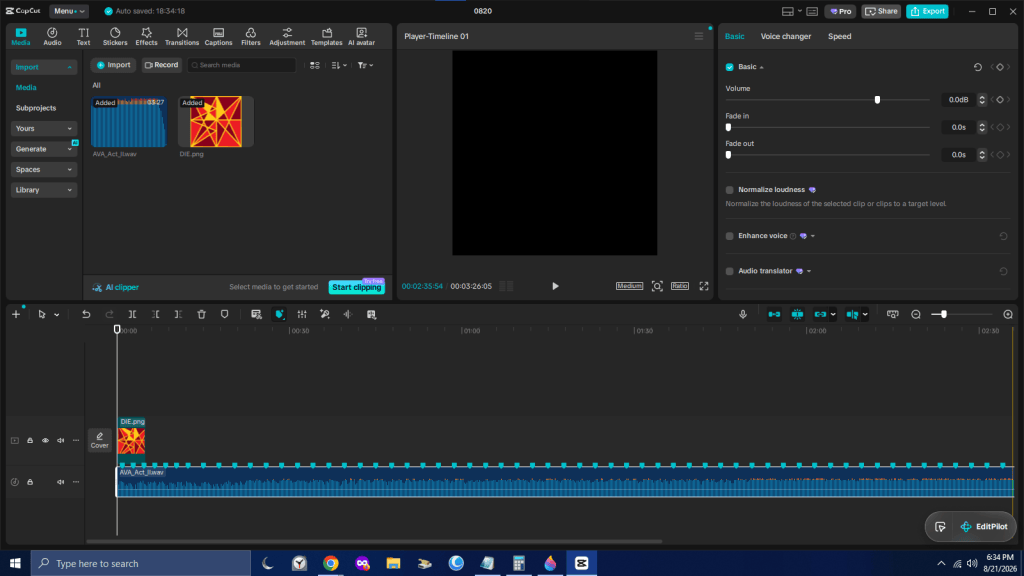 Screenshot of video editing software interface showing media files, timeline, and audio settings.